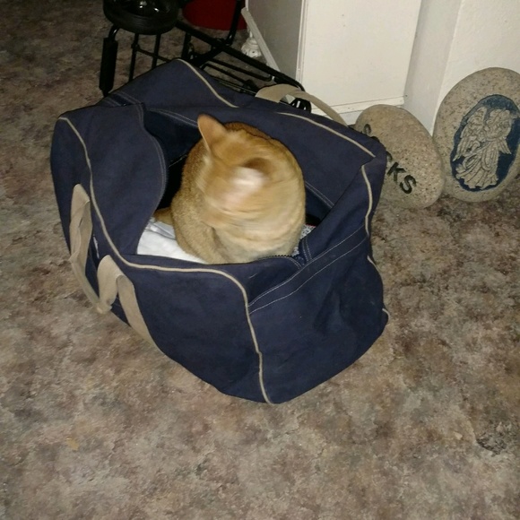 Meet the Posher Other - Meet your Posher, Bonnie